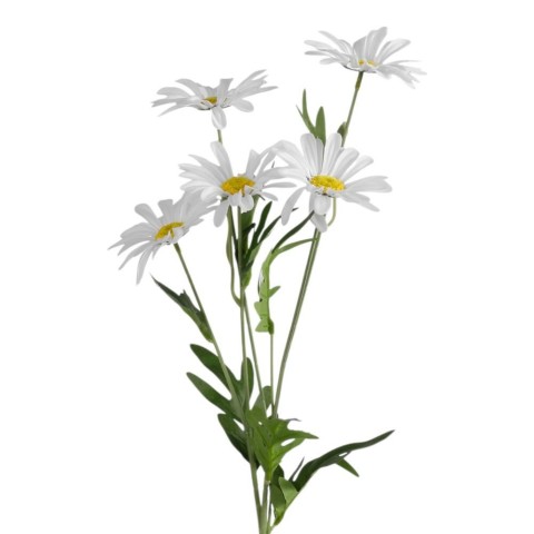 TRALCIO MARGHERITE BIANCO